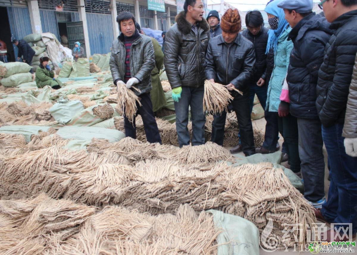 渭水源药材市场