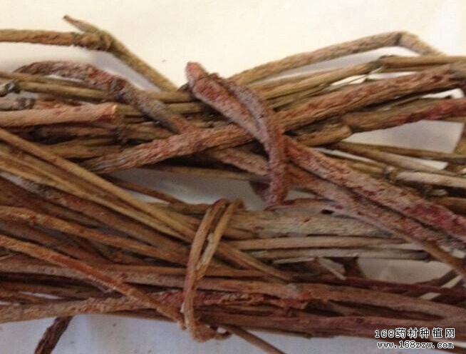 茜草价格行情走势分析