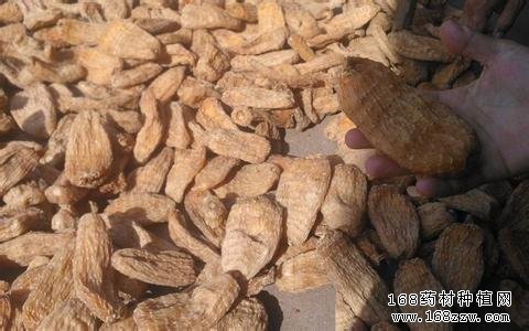 南涝北旱中药材价格看涨 下半年药材价格涨价已成定局