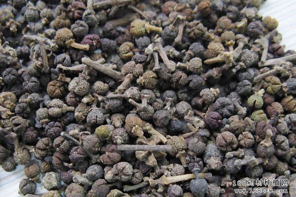 2016年吴茱萸价格行情分析