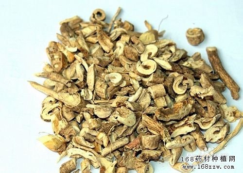 2016年白鲜皮价格行情走势分析